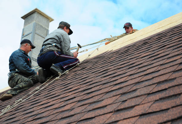 Best Gutter Installation and Roofing  in Lindon, UT
